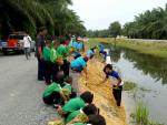 โครงการปลูกหญ้าเฉลิมพระเกียรติพระบาทสมเด็จพระบรมราชินีนาถ ณ