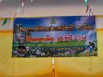 ประเพณีจบปี จบเดือน ประจำปี 2566